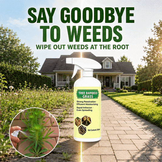 🔥Last Day Promotion 49% OFF🔥2026 SALE Fast-Acting Natural Weed & Grass Killer Spray✨